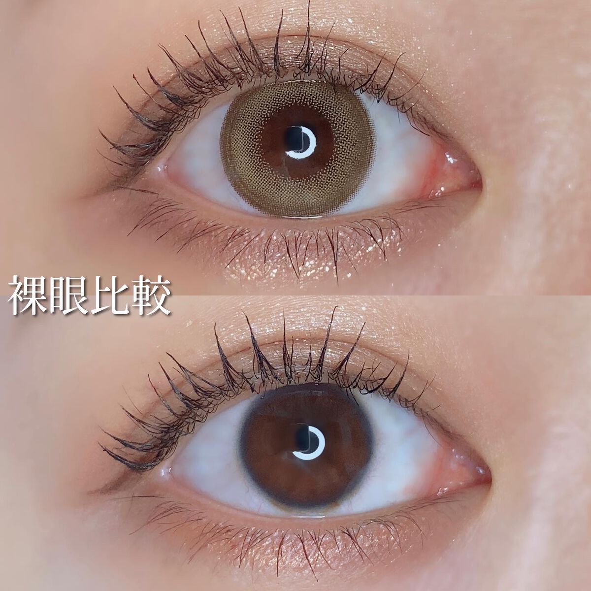 Angelcolor Bambi Series 1day /AngelColor/ワンデー(1DAY)カラコンを使ったクチコミ(5枚目)