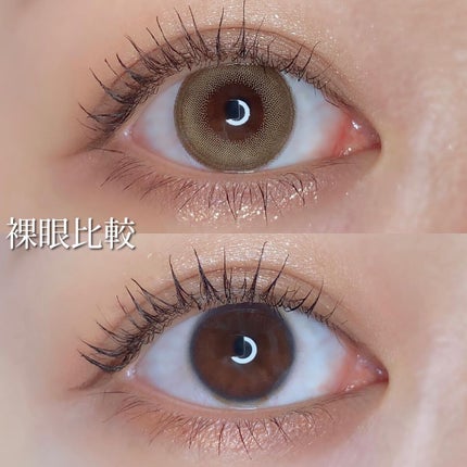 Angelcolor Bambi Series 1day /AngelColor/ワンデー(1DAY)カラコンを使ったクチコミ(5枚目)