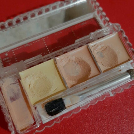 カラーミキシングコンシーラー/キャンメイク/パレットコンシーラーを使ったクチコミ(5枚目)