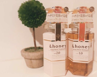 ディープモイスト シャンプー1.0／ヘアトリートメント2.0/&honey/シャンプー・コンディショナーを使ったクチコミ（1枚目）