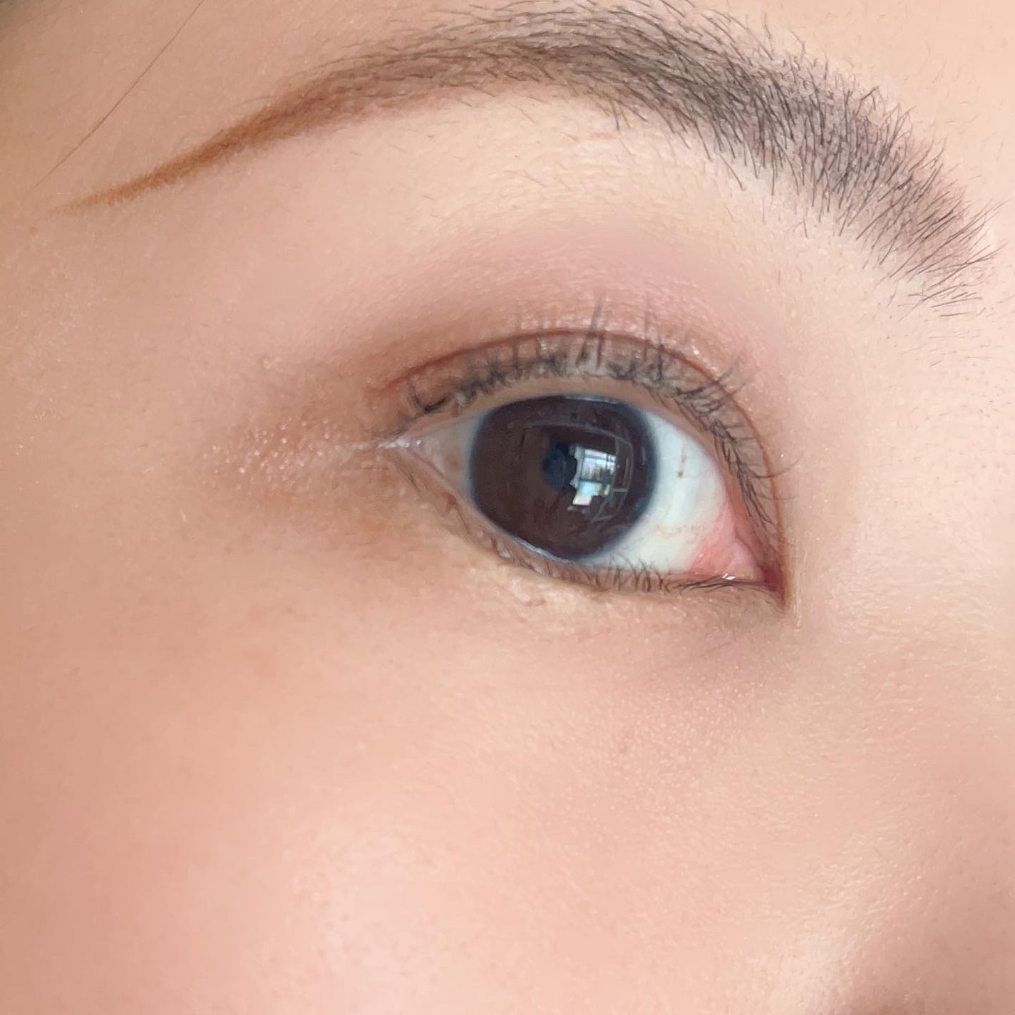 アイグロウジェム スキンシャドウ/DECORTÉ/ジェル・クリームアイシャドウを使ったクチコミ(7枚目)