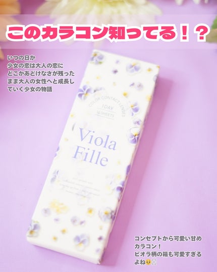 ViolaFille/ViolaFille/ワンデー(1DAY)カラコンを使ったクチコミ(2枚目)