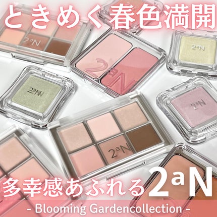 ピュアグラッシュ ハイライター/2aN/パウダーハイライトを使ったクチコミ(1枚目)