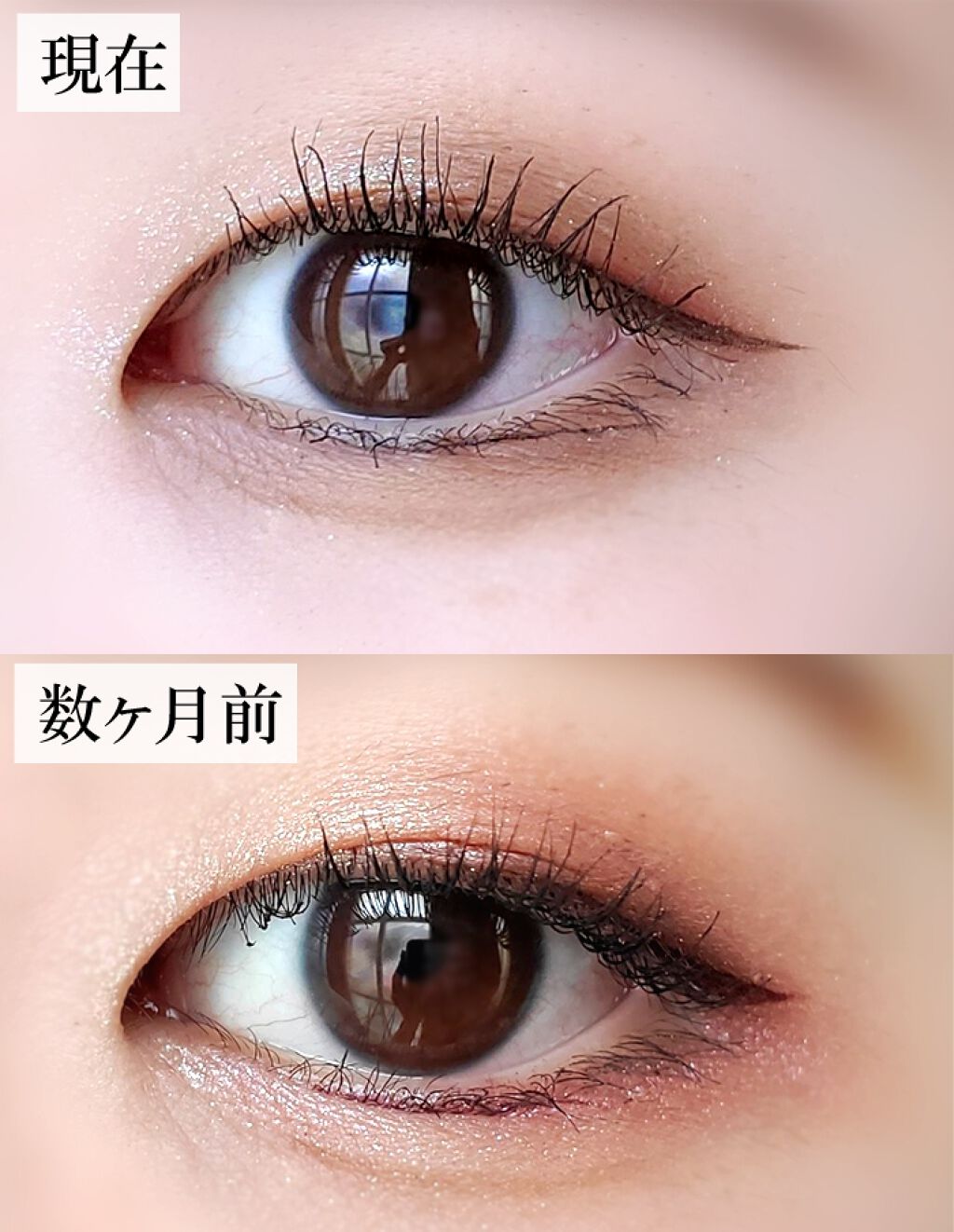 マスカラコーム メタルN（ナチュラル）/チャスティ/その他化粧小物を使ったクチコミ（3枚目）