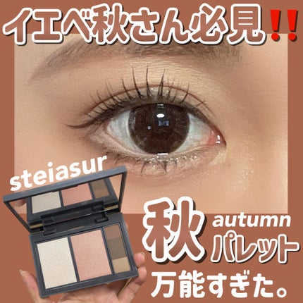 フィット my カラーパレット 03 autumn/STEIASUR(ステイアシュール)/マルチパレットを使ったクチコミ(1枚目)