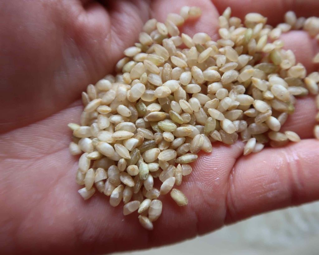 発芽玄米/コープ/食品を使ったクチコミ(2枚目)