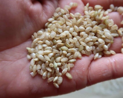 発芽玄米/コープ/食品を使ったクチコミ(2枚目)