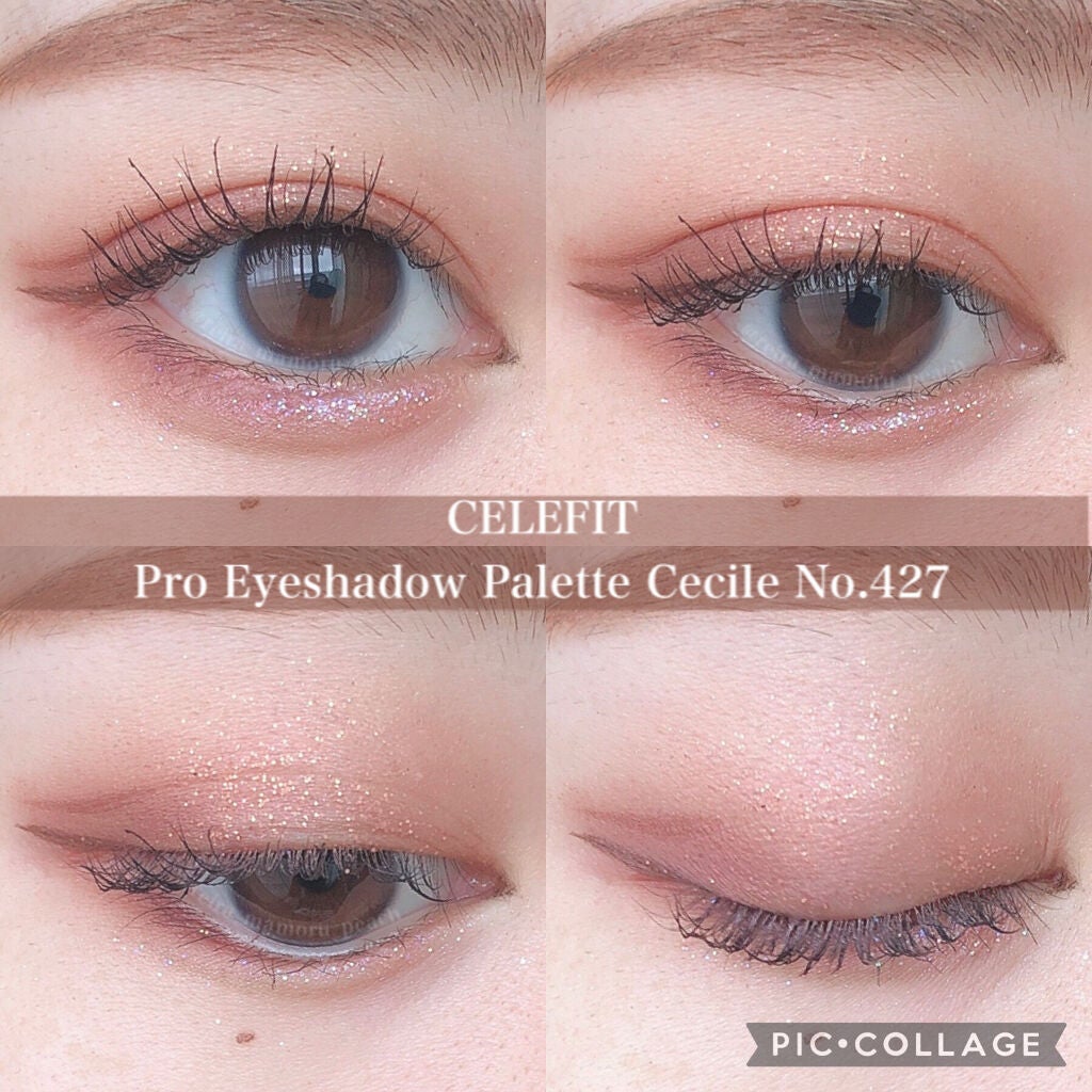 プロアイシャドウパレットセシル/CELEFIT/アイシャドウパレットを使ったクチコミ(8枚目)