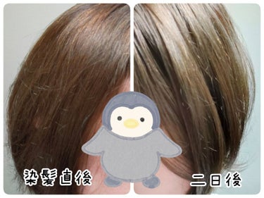 ホイップヘアカラー ピスタチオアッシュ|ビューティラボの口コミ