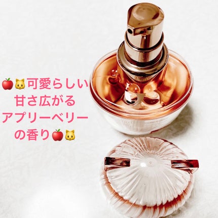 ウルリス ピンクネコ  ウォーターコンク スリーク ヘアオイル/ululis/ヘアオイルを使ったクチコミ(3枚目)