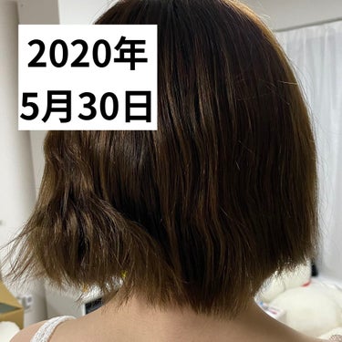 ヘアアクセルレーター レモンライムの香り/加美乃素本舗/頭皮ケアを使ったクチコミ（3枚目）