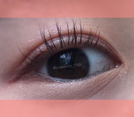 パーフェクトスタイリストアイズ/キャンメイク/アイシャドウパレットを使ったクチコミ(3枚目)