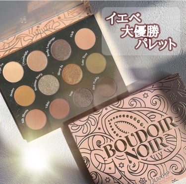 ColourPop BOUDOIR NOIRのクチコミ「#激推し多色パレット 


colourpop
boudoirnoir 

大好物なカラーが詰.....」（1枚目）