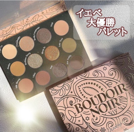 BOUDOIR NOIR/ColourPop/アイシャドウパレットを使ったクチコミ(1枚目)