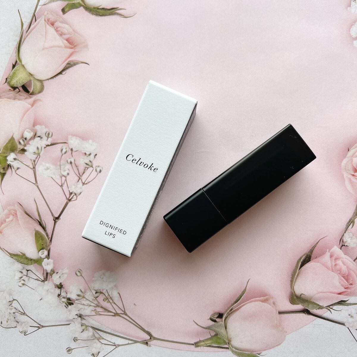 ディグニファイド リップス/Celvoke/口紅を使ったクチコミ(1枚目)