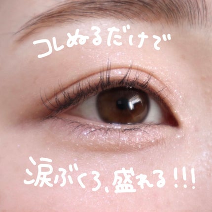 麻雀アイシャドウ/和粧/単色アイシャドウを使ったクチコミ(9枚目)