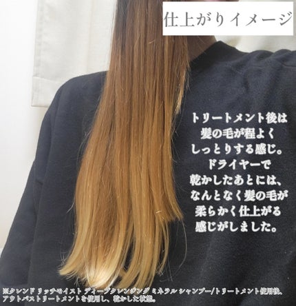 リッチモイスト ディープクレンジング ミネラル シャンプー/ディープリペア ミネラル トリートメント/CLEND/市販シャンプーを使ったクチコミ(6枚目)