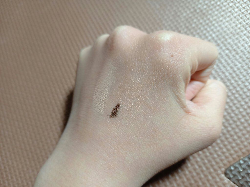 極細 アイライナーR/CEZANNE/リキッドアイライナーを使ったクチコミ(3枚目)