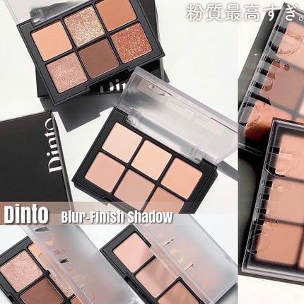 ブラーフィニシュシャドウパレット/Dinto/アイシャドウパレットを使ったクチコミ(4枚目)