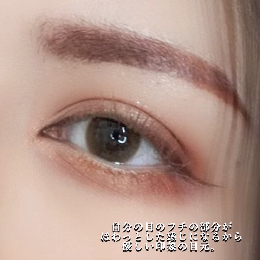 エクスプローラ12色 動物アイシャドウパレット/PERFECT DIARY/アイシャドウパレットを使ったクチコミ(5枚目)