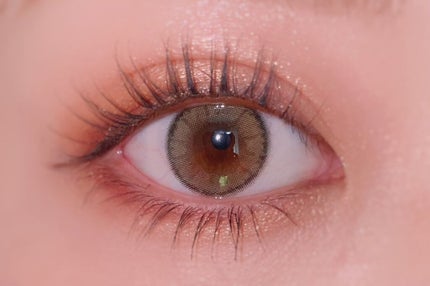 【旧】サンク クルール クチュール/Dior/アイシャドウパレットを使ったクチコミ(3枚目)