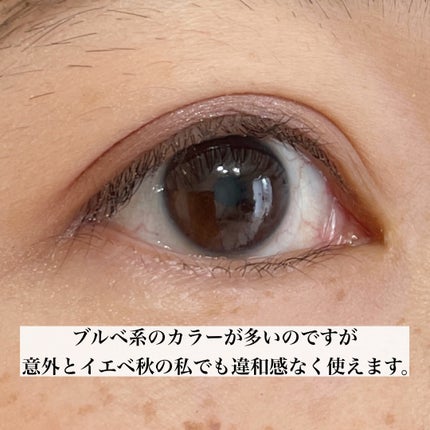 ソフトブラーリングアイパレット/wakemake/アイシャドウパレットを使ったクチコミ(8枚目)