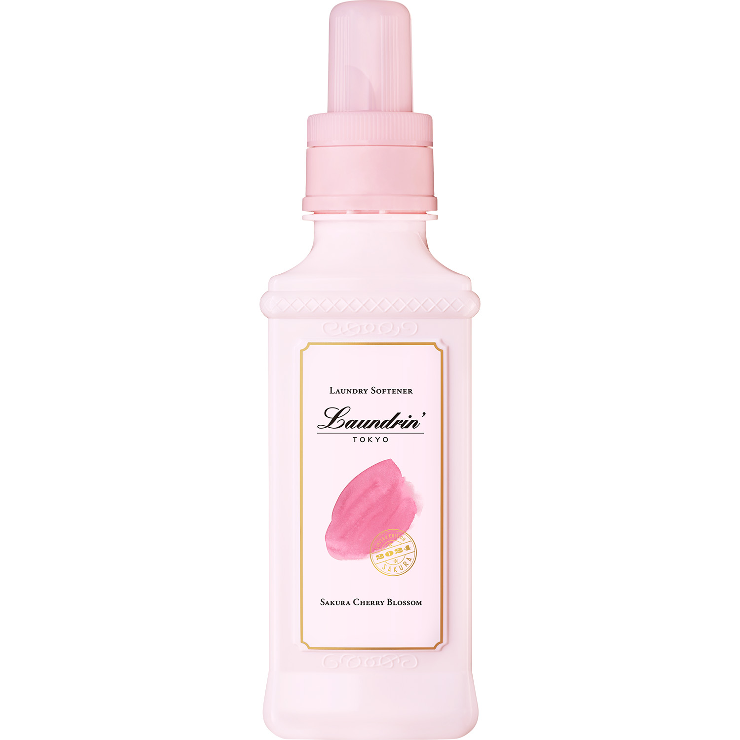 サクラチェリーブロッサム2024