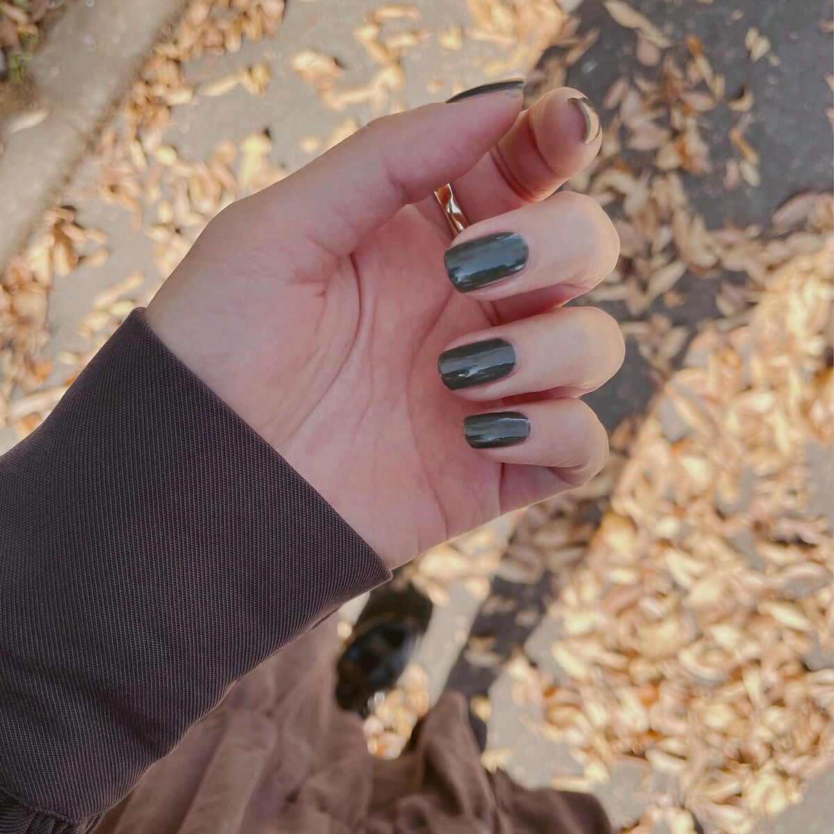 ネイルホリック Earth color/ネイルホリック/マニキュアを使ったクチコミ(1枚目)