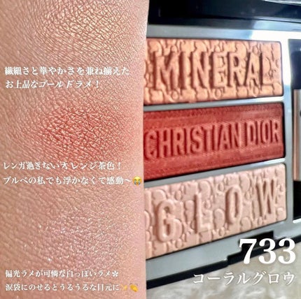 トリオ ブリック パレット/Dior/アイシャドウパレットを使ったクチコミ(3枚目)