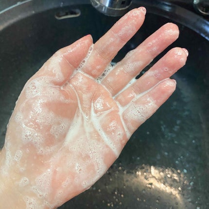 セルサート プニア シャンプー/ESTESSiMO/シャンプー・コンディショナーを使ったクチコミ(2枚目)