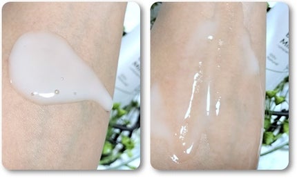 モリンガバランスボディミルク/魂の商材屋/ボディミルクを使ったクチコミ(4枚目)