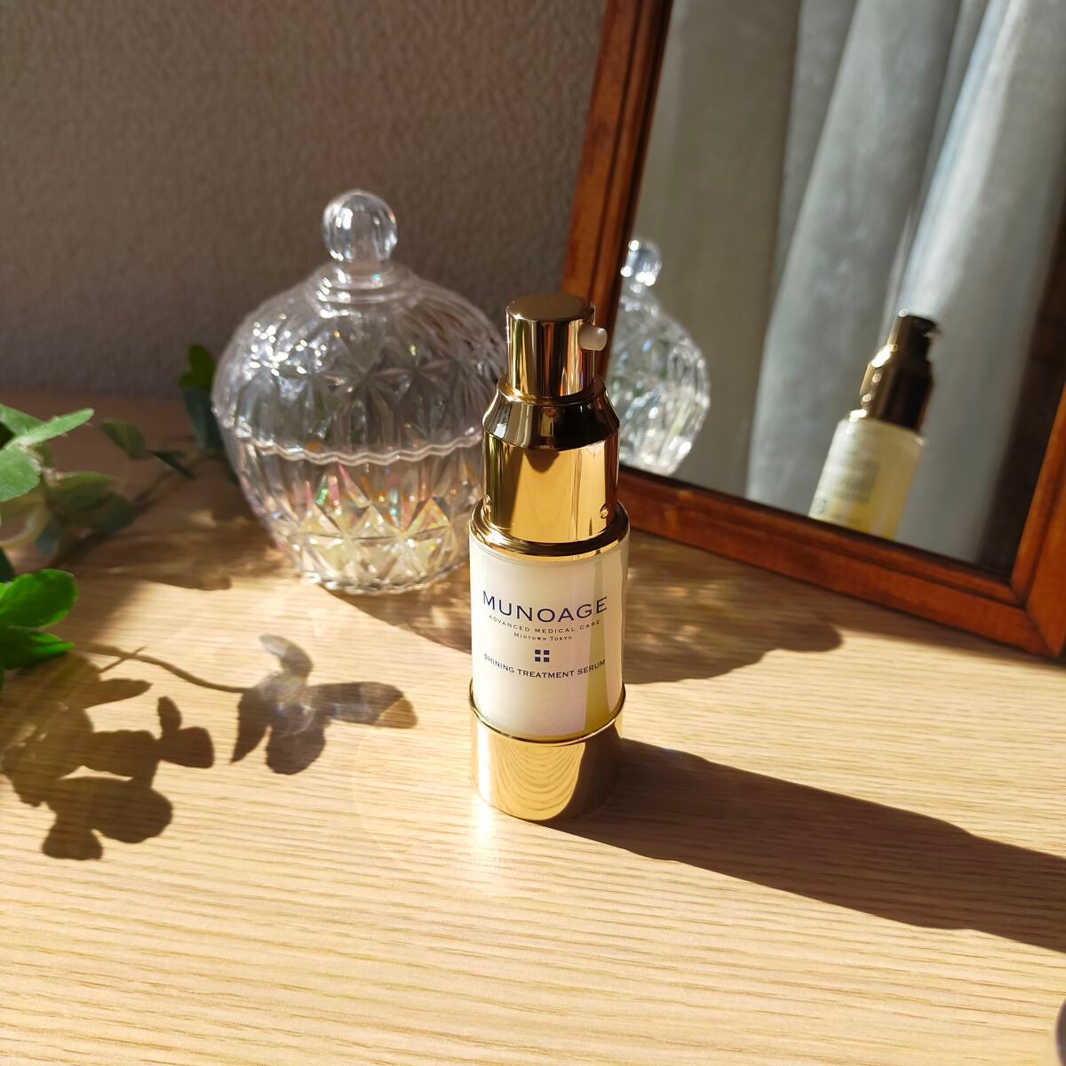 シャイニングトリートメントセラム/MUNOAGE(ミューノアージュ)/美容液を使ったクチコミ(1枚目)