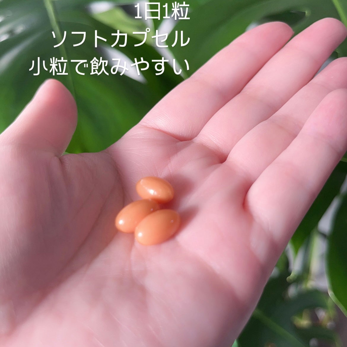 セラミド モイスチュア/DHC/美容サプリメントを使ったクチコミ(3枚目)