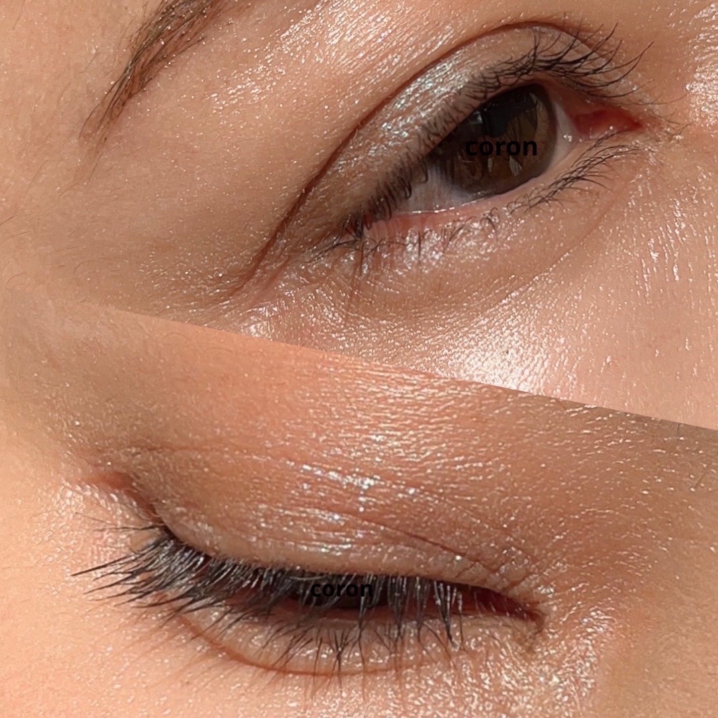 「塗るつけまつげ」ロングタイプ/デジャヴュ/マスカラを使ったクチコミ(2枚目)