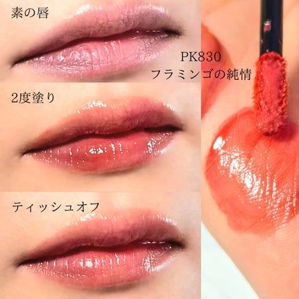 ネンマクフェイク リキッド/Visée/口紅を使ったクチコミ(6枚目)