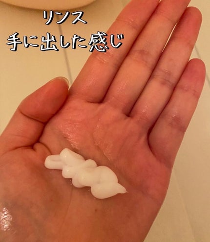 バランスエフェクトシャンプー/トリートメント/スリーク by サラサロン/市販シャンプーを使ったクチコミ(4枚目)