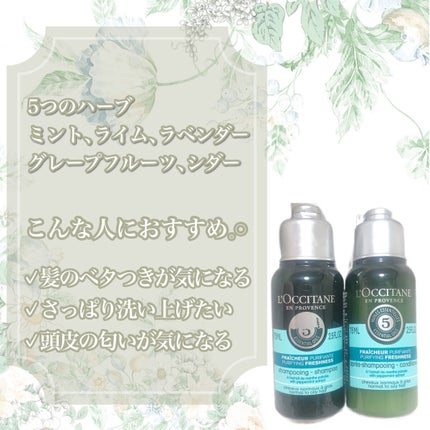 ファイブハーブス ピュアフレッシュネス シャンプー/コンディショナー/L'OCCITANE/市販シャンプーを使ったクチコミ(3枚目)
