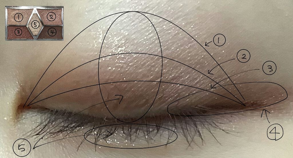 【旧品】パーフェクトスタイリストアイズ/キャンメイク/アイシャドウパレットを使ったクチコミ(4枚目)