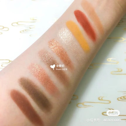 長相思シリーズ 9色アイシャドウパレット/CATKIN/アイシャドウパレットを使ったクチコミ(4枚目)