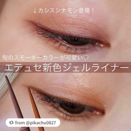 エテュセ ラスティング ジェルライナー/ettusais/ジェルアイライナーを使ったクチコミ(1枚目)