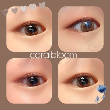 デコラティブアイズ ヴェール Coral Bloom/Decorative Eyes/カラーコンタクトレンズを使ったクチコミ（2枚目）