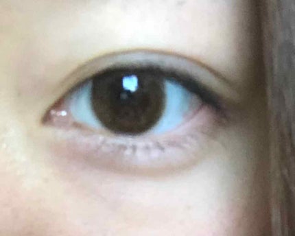 ReVIA 1day/ReVIA/ワンデー(1DAY)カラコンを使ったクチコミ(2枚目)