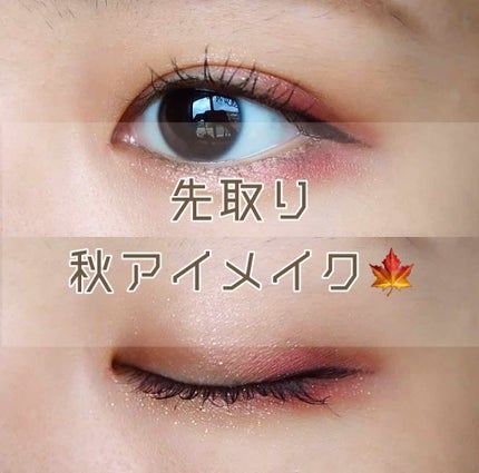 プレイカラー アイシャドウ ワインパーティー【生産終了】/ETUDE/アイシャドウパレットを使ったクチコミ(1枚目)