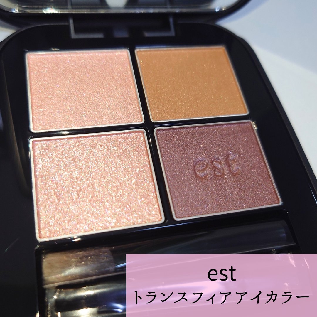 エスト トランスフィア アイカラー/est/アイシャドウパレットを使ったクチコミ（1枚目）