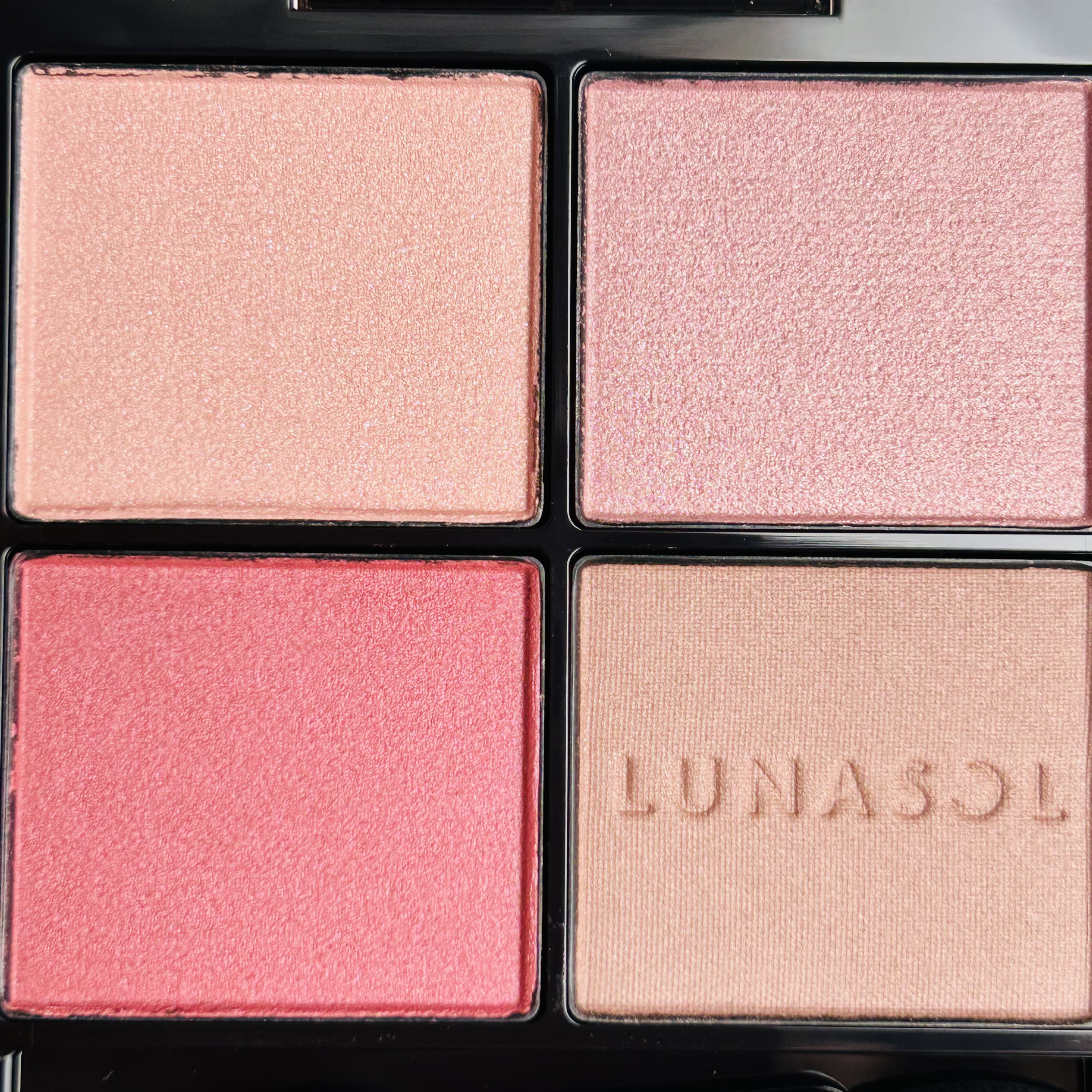 ルナソル アイカラーレーションN 02 Bitter Romance/LUNASOL/アイシャドウパレットを使ったクチコミ（3枚目）