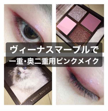 Venus Marble アイシャドウキャットシリーズ/Venus Marble/アイシャドウパレットを使ったクチコミ（1枚目）