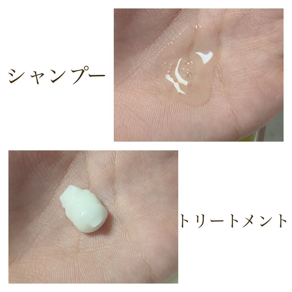 プルント モイストリッチ美容液シャンプー/モイストリッチリペア美容液トリートメント/Purunt./市販シャンプーを使ったクチコミ(2枚目)