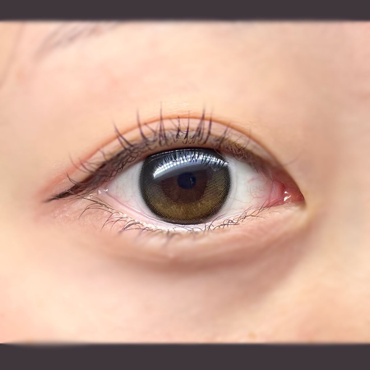 Secretive Kristen 1day/Hapa kristin/ワンデー(1DAY)カラコンを使ったクチコミ(1枚目)