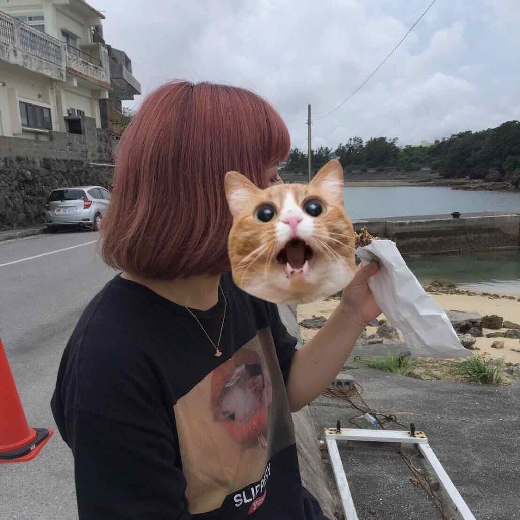 メイクアップカラー/ビューティーン/ヘアカラーを使ったクチコミ(2枚目)