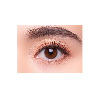 002 サンセット ブリック